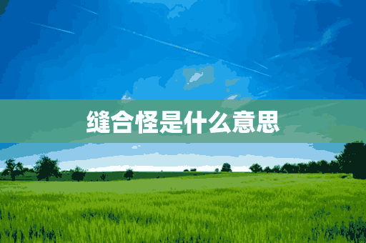 缝合怪是什么意思(究极缝合怪是什么意思)